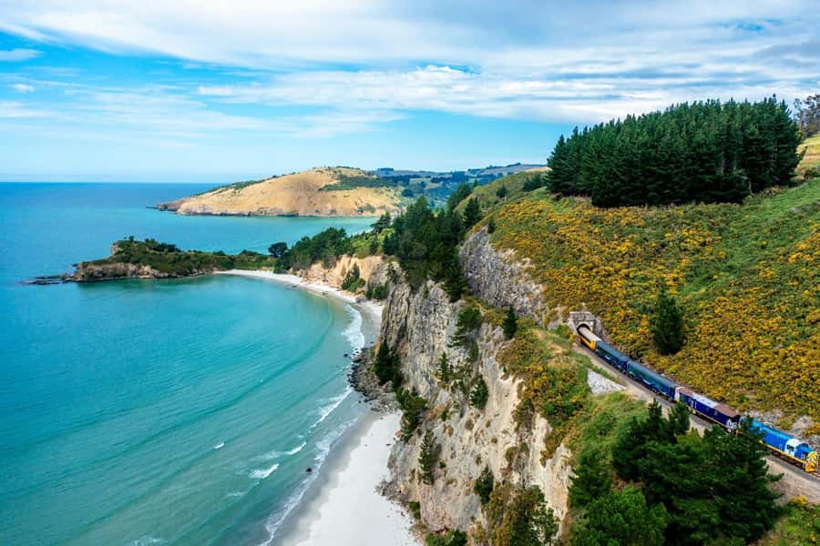 Dunedin: Scenic Railway Tour of Otago's Coastline - Comfortable cars, practical clothing, and weather