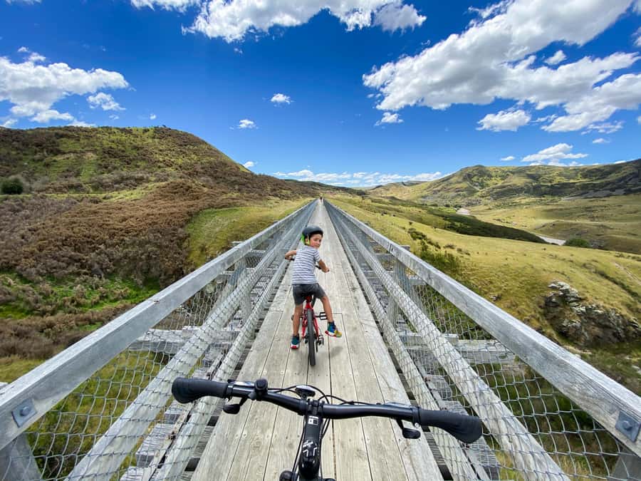 Dunedin: Scenic Railway Tour Through the Taieri Gorge - Bridges, Tunnels, and the Work Behind the Route