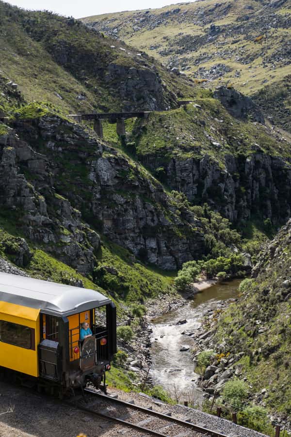 Dunedin: Scenic Railway Tour Through the Taieri Gorge - Is $95 Good Value?