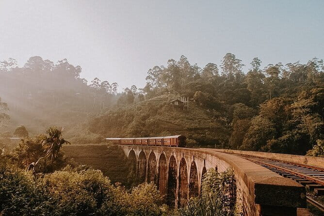 Ella Day Tour with Scenic Train Ride From Hikkaduwa - The Demodara Loop train ride