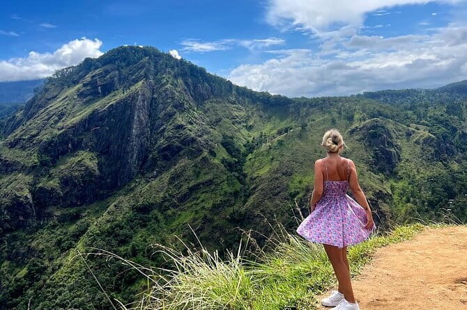 Ella Private Day Tour with Train Ride and Visit to Nine Arch - The tea garden adds a slower half hour