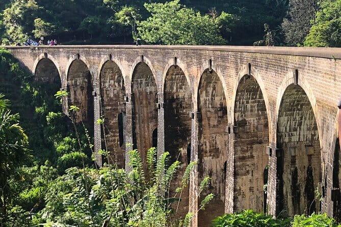 Ella Private Day Tour with Train Ride and Visit to Nine Arch - How the guide affects the experience
