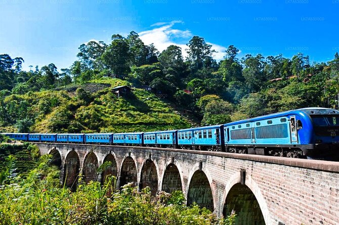 Ella Private Day Trip with Train Ride & Tea Factory-All Inclusive - Why this private Ella day trip makes sense from Bentota