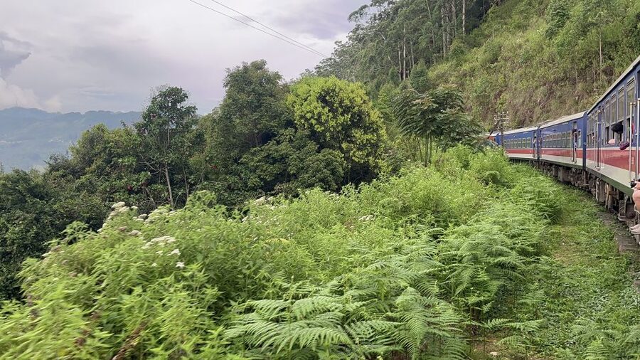 Ella: Tea Factory, Train, and Nine Arch Day Tour with Pickup - The 25-minute train ride through the hills