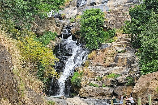Ella Train Trip & Udawalawa Private Day Tour Bentota/Kosgoda - Udawalawe Elephant Transit Home in a short visit