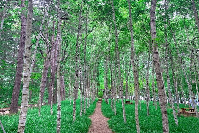 Eobi+Nami+Hanbok Tour with Rail Bike or Strawberry Option - Guides can make a packed day easier