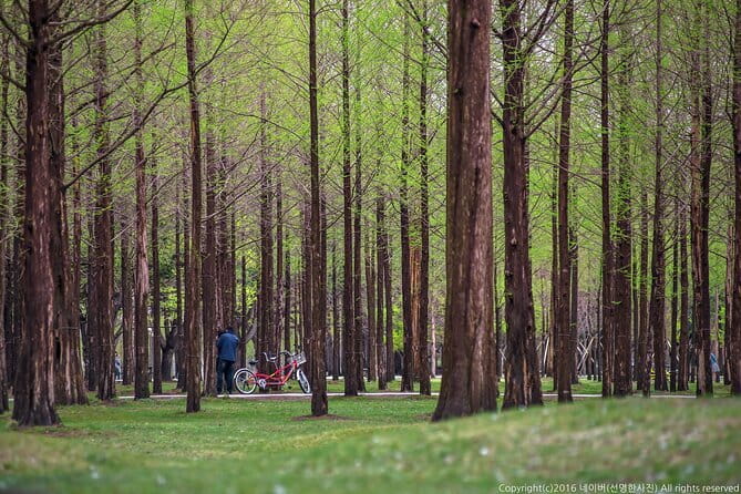 Eobi+Nami+Hanbok Tour with Rail Bike or Strawberry Option - Eobi Ice Valley, a short stop with strong photo value