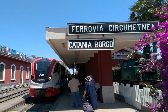 Etna Wine Tasting and Train Tour - Starting in Catania at 9:30 a.m.