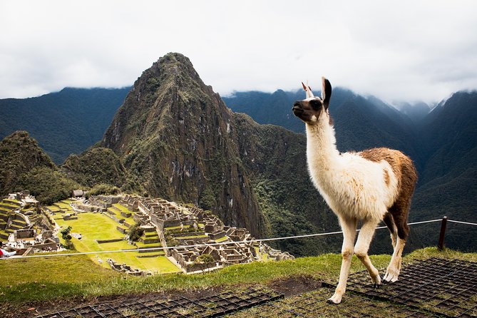 Excursion to MachuPicchu with Train Vistadome Full Day - Arriving in Aguas Calientes