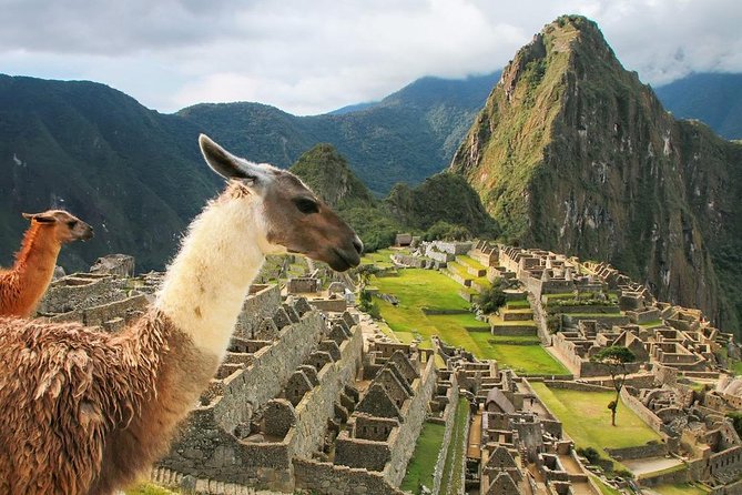 Excursion to MachuPicchu with Train Vistadome Full Day - The 2-hour-30-minute guided visit at Machu Picchu