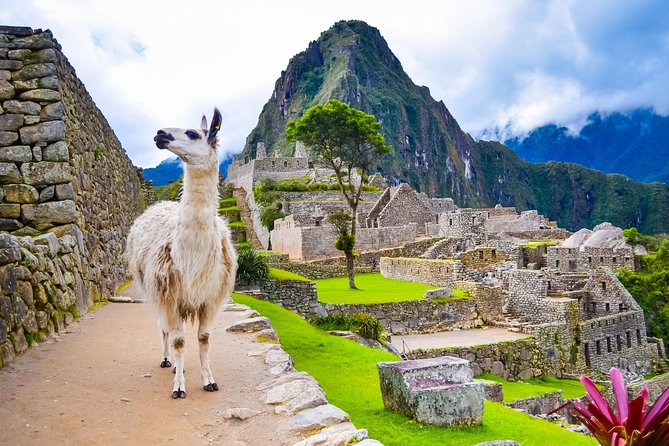 Excursion to MachuPicchu with Train Vistadome Full Day - Is $403.75 good value?