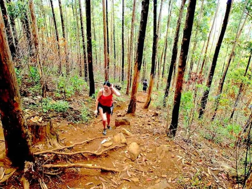 Explore Ella: Rock Hike, Loop, Falls, Nine arch & Train View - Starting early from Ella with a local guide
