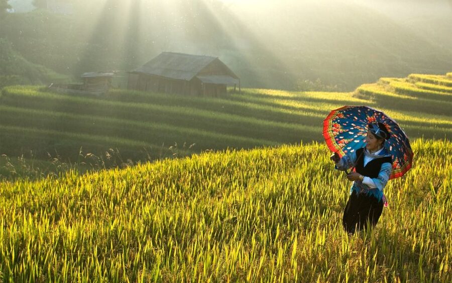 Explore Sa Pa with Overnight Train & Sleeper Bus & Trekking - Key things to know before booking