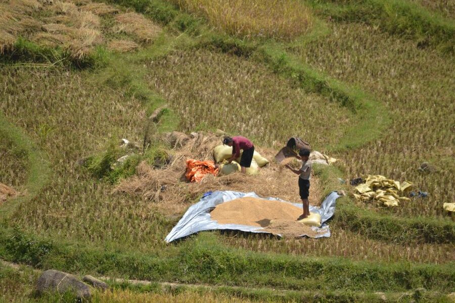 Explore Sa Pa with Overnight Train & Sleeper Bus & Trekking - Why this Sa Pa trip works for a short Hanoi stay