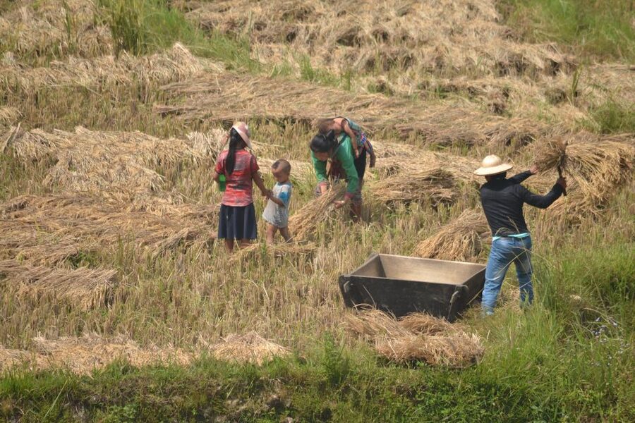 Explore Sa Pa with Overnight Train & Sleeper Bus & Trekking - Meals, guide service, and what is included