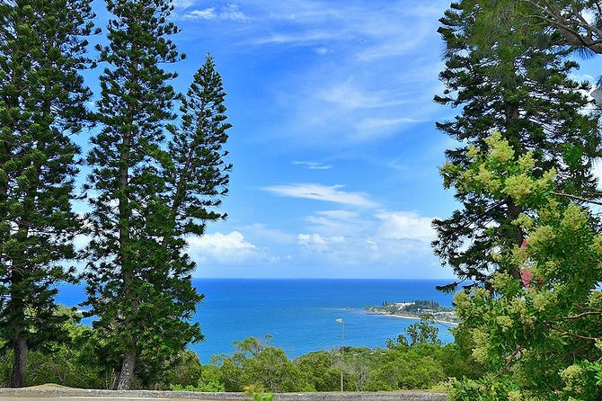 FAMOUS Local Green Train Noumea (01h30) - Ouen Toro Hill and the best lookout