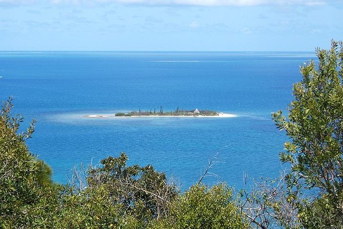 FAMOUS Local Green Train Noumea (01h30) - The guide can make or break the ride