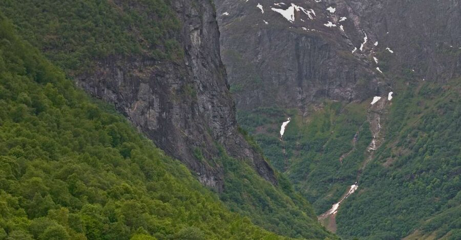 Fjords: Private Trip with Train and Cruise Ride - Why this Oslo fjord trip works