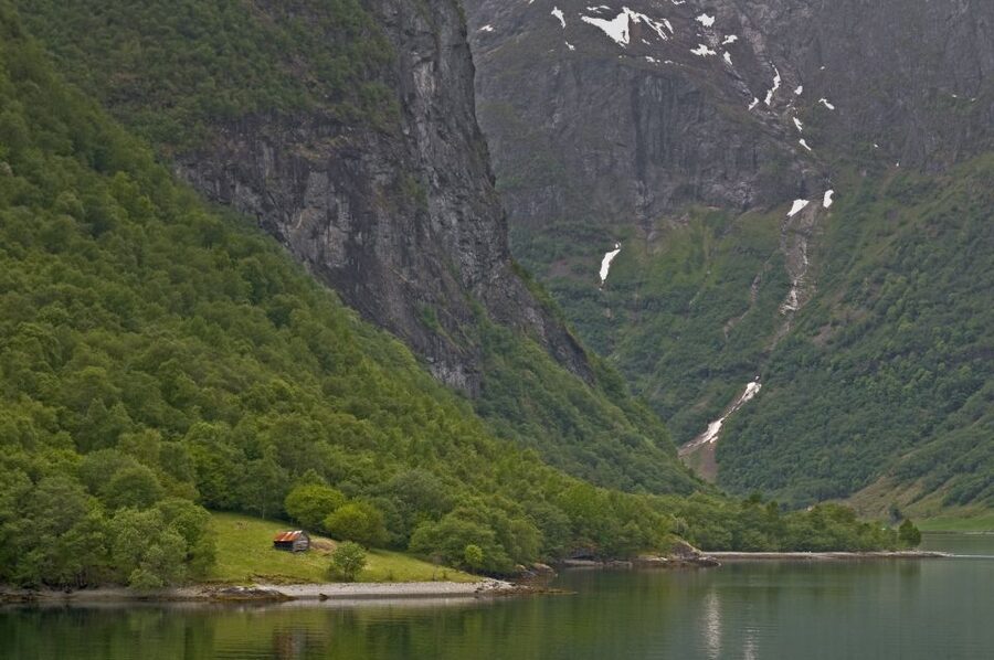 Fjords: Private Trip with Train and Cruise Ride - The Bergen Railway and the approach to Flåm