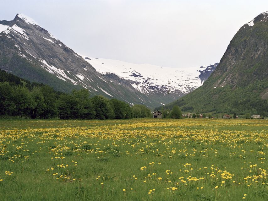 Fjords: Private Trip with Train and Cruise Ride - Leaving Oslo for the high country