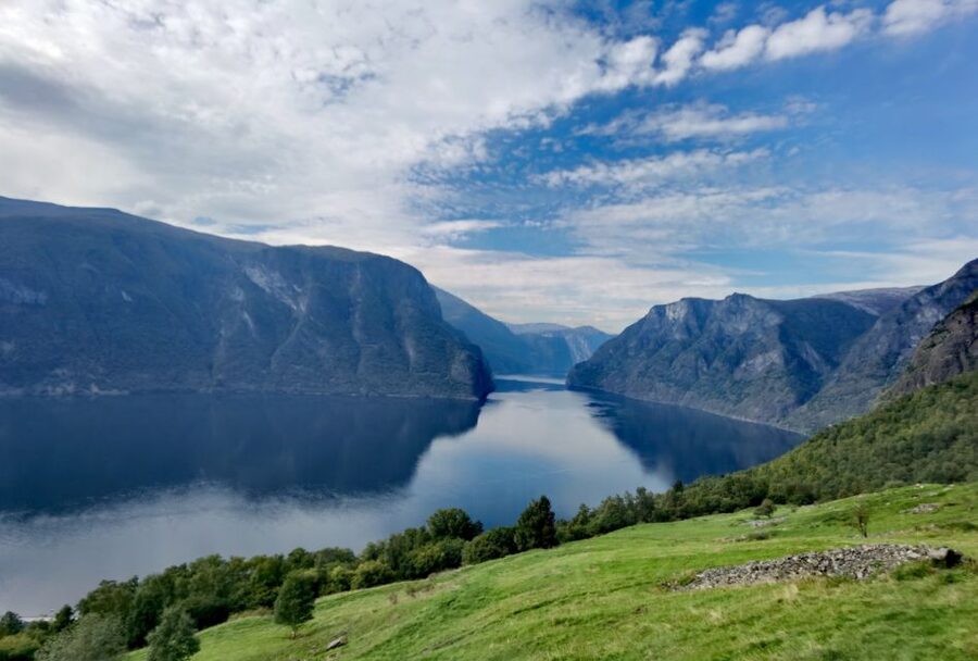 Flåm Flexible Tour with Stegastein, cruise and train include - Gudvangen and the Nærøyfjord cruise