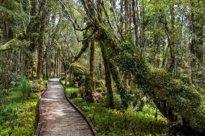 Franz Josef to Christchurch Small-Group Tour W TranzAlpine Train - What the $341.32 price includes