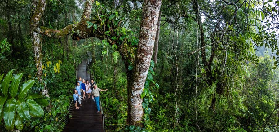 From Cairns: Self-Guided Kuranda Trip with Train and Skyrail - Skyrail: the most memorable part for many people