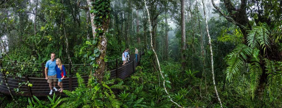 From Cairns: Self-Guided Kuranda Trip with Train and Skyrail - Who should book this Cairns day trip?