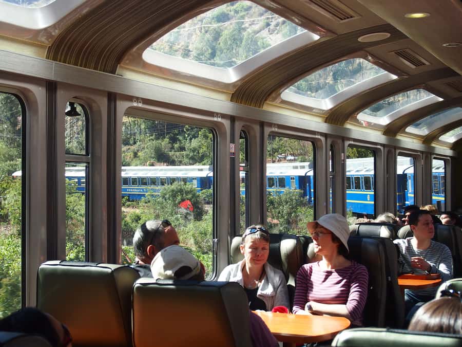From Cusco: Train Ride and Guided Tour of Machu Picchu - Who will enjoy this day trip most?