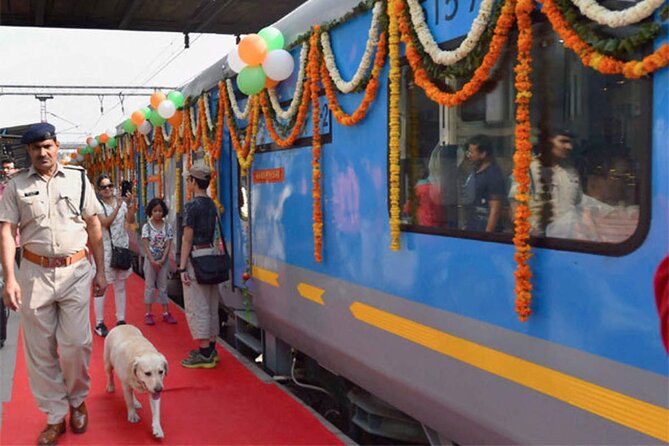 From Delhi Taj Mahal and Agra Fort Private Tour By India's fastest Train - Lunch and the Afternoon at Baby Taj