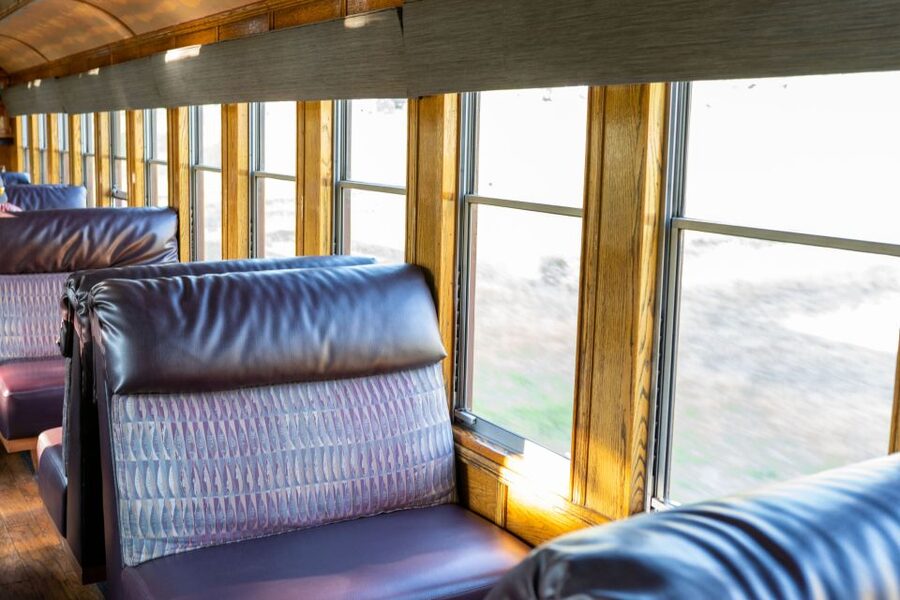 From Durango: All-Day Zipline Adventure with Train & Lunch - Key points before you book