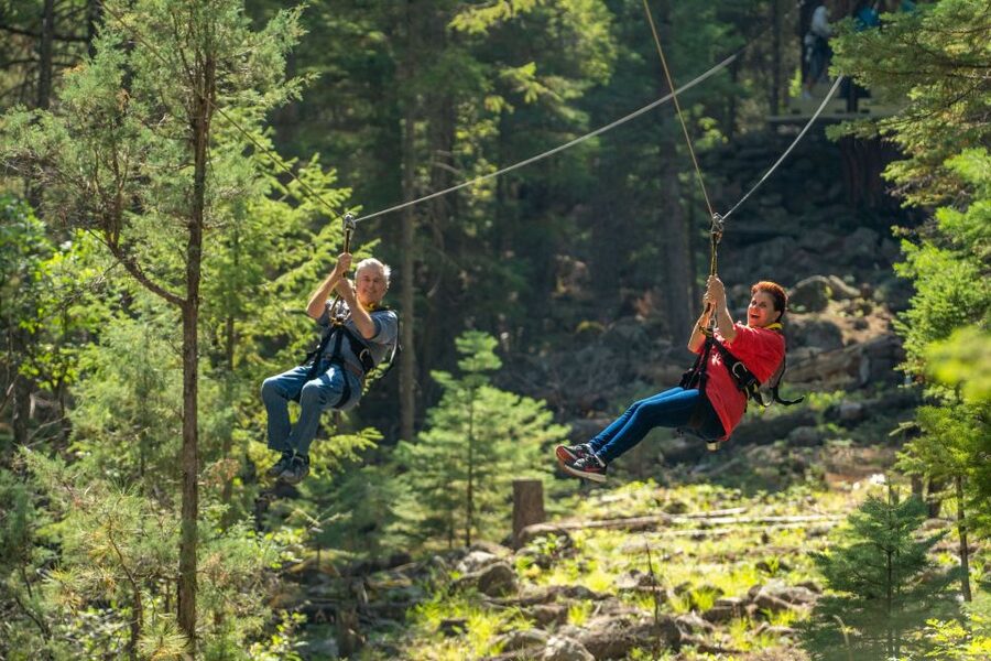 From Durango: All-Day Zipline Adventure with Train & Lunch - Why this Durango day works so well