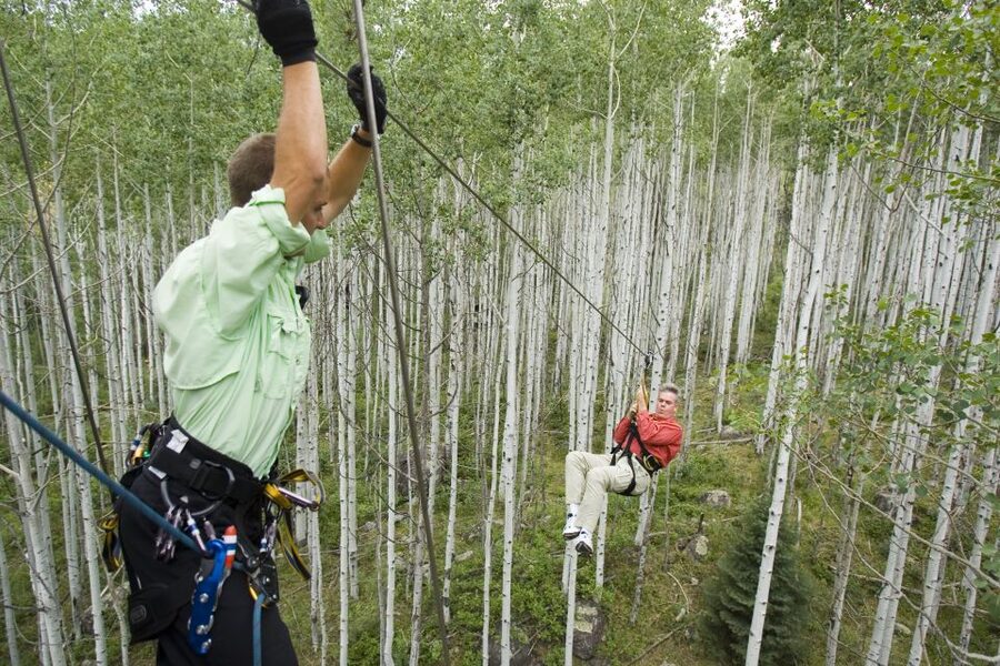 From Durango: All-Day Zipline Adventure with Train & Lunch - Is $648 a good value?