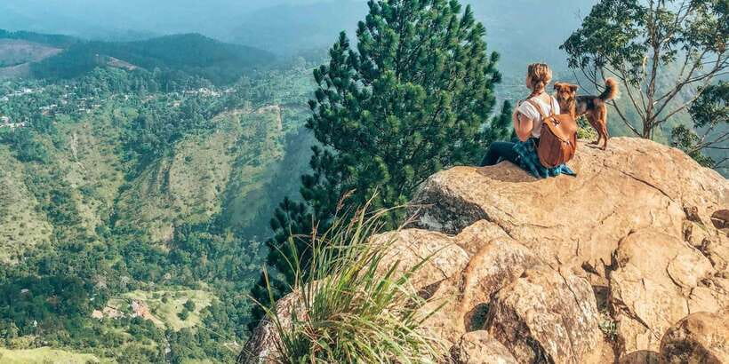 From Ella- All inclusive Day Trip of 8 Iconic Sights & Train - Little Adam’s Peak for a gentler finish