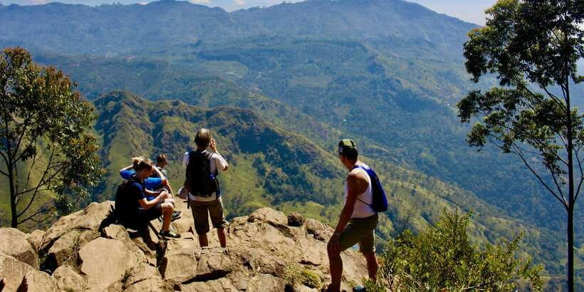 From Ella- All inclusive Day Trip of 8 Iconic Sights & Train - Demodara Loop: railway engineering in the hills