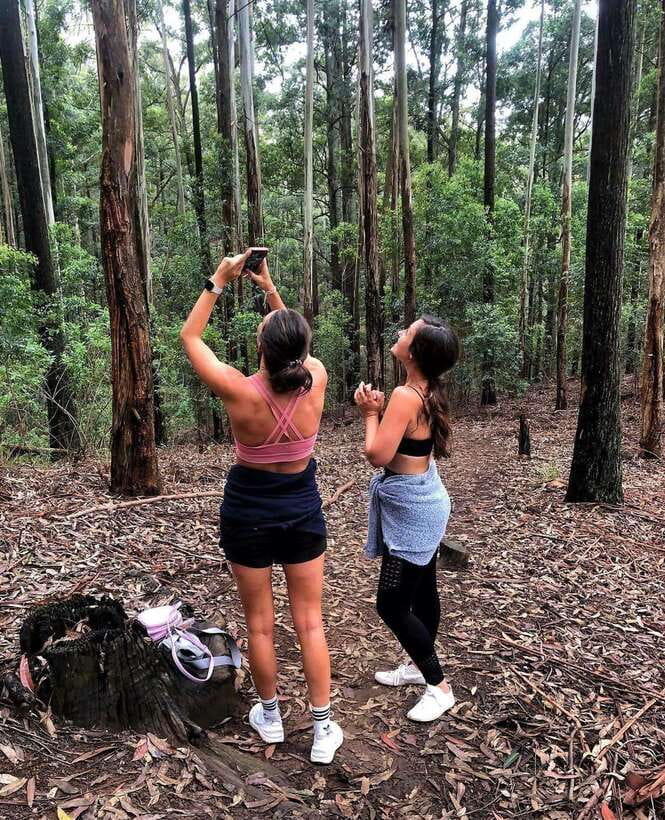 From Ella- All Inclusive Day Trip to Experience Ella & Train - Key points before you book