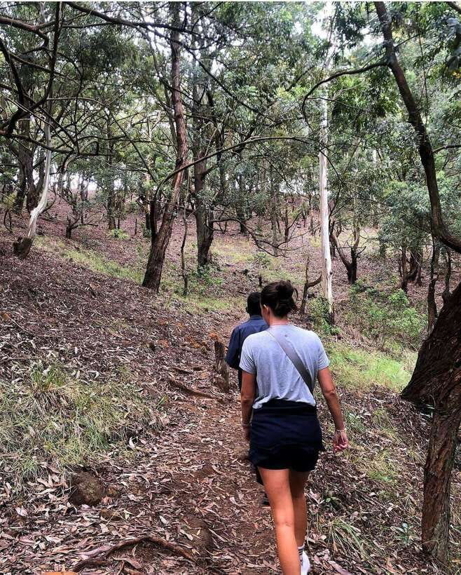 From Ella- All Inclusive Day Trip to Experience Ella & Train - Little Adam’s Peak finishes the day with a wide view
