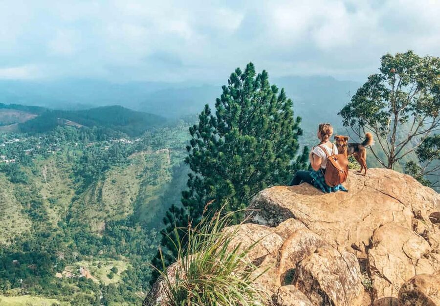 From Ella - Day Trip of 8 Iconic Sights & Scenic Train Ride - Ravana Falls and the first taste of Ella’s scenery