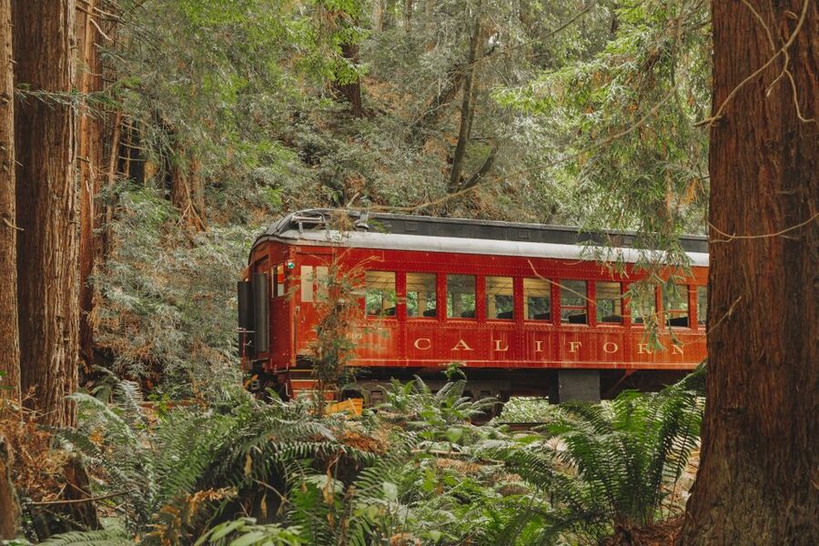 From Fort Bragg: Redwoods Train Ride and Nightclub Ticket - Key Points About the Glen Blair Night Train