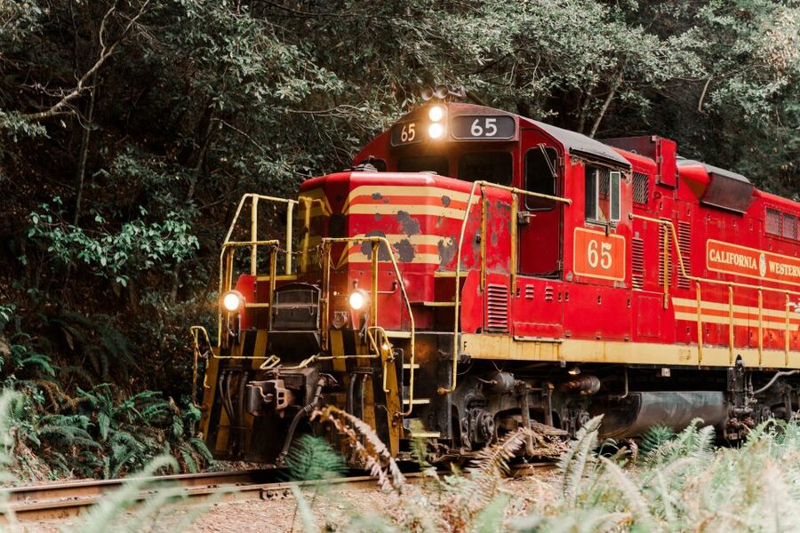 From Fort Bragg: Redwoods Train Ride and Nightclub Ticket - Riding Through the Redwoods After Dark