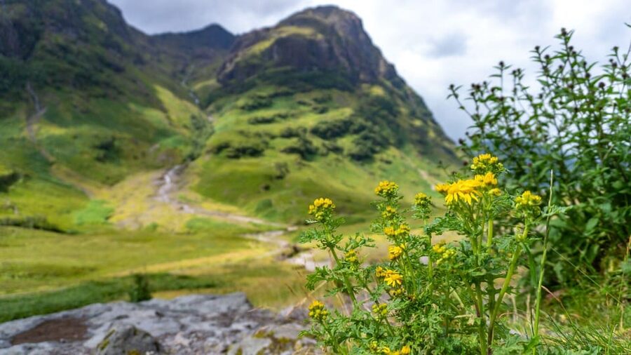From Glasgow: Jacobite Steam Train & The Highlands Tour - From Buchanan Street to Loch Lomond