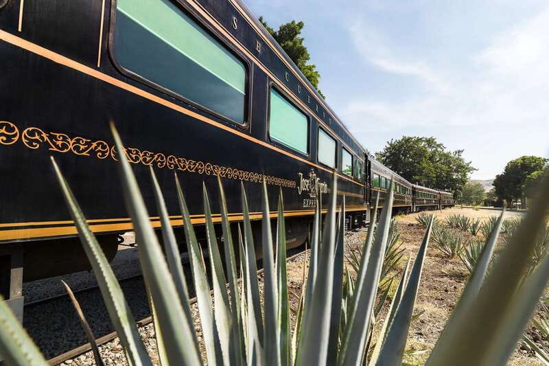 From Guadalajara: La Rojeña Distillery & Jose Cuervo Train - Four things to know before booking