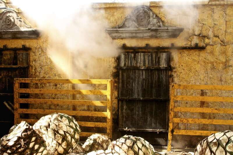 From Guadalajara: La Rojeña Distillery & Jose Cuervo Train - Who will enjoy this experience most?