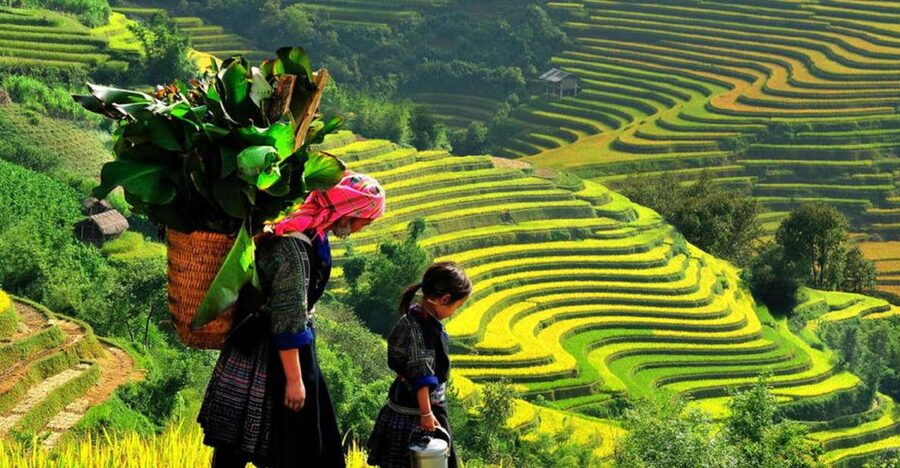 From Hanoi: 2-Day 2-Night Sapa Tour by Overnight Train - Lao Cai to Sapa and the first morning