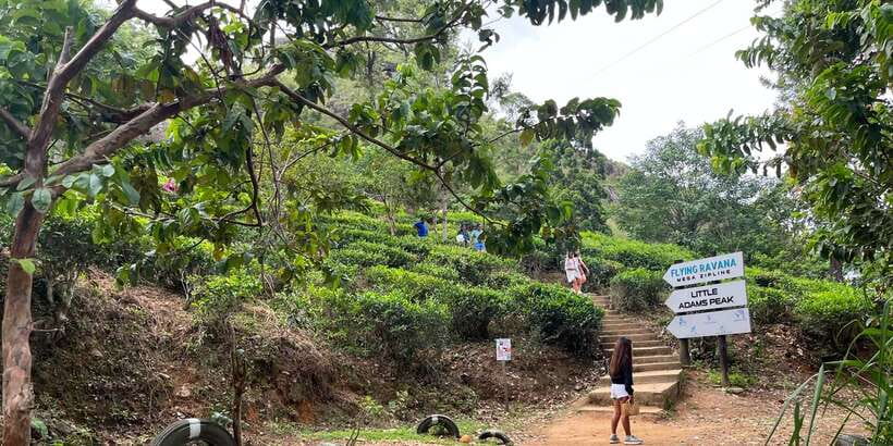 From kandy Train, and Pool Club Day Tour with Pickup - Key points at a glance