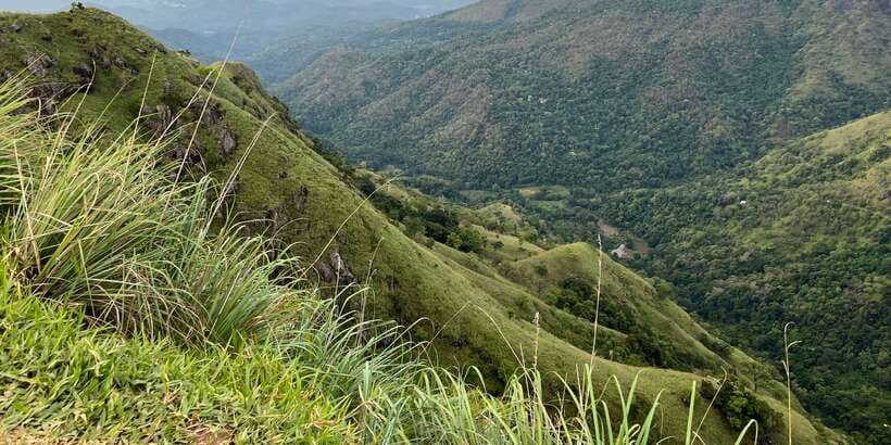 From kandy Train, and Pool Club Day Tour with Pickup - Nuwara Eliya and the short train ride