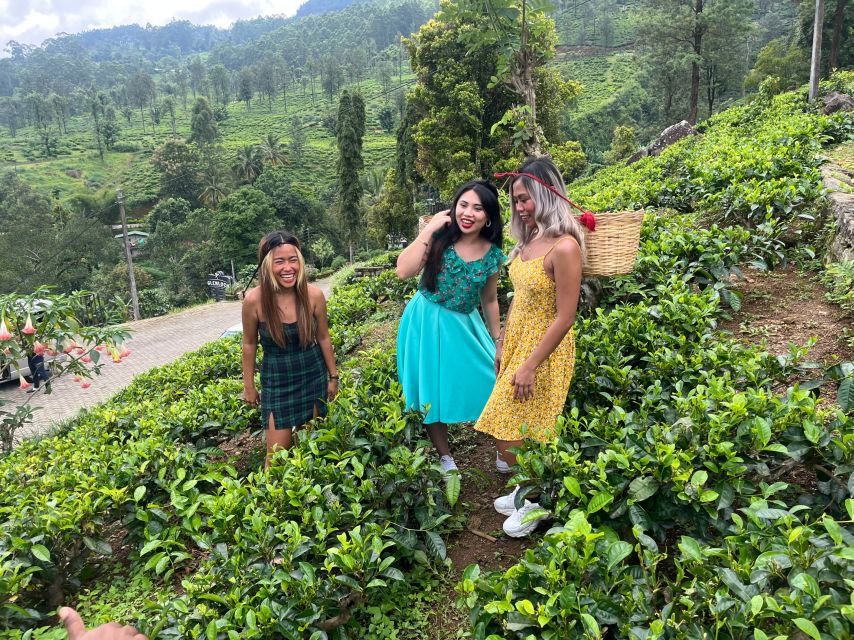 From kandy Train, and Pool Club Day Tour with Pickup - Flying Ravana Mega Zipline and Ravana Pool Club