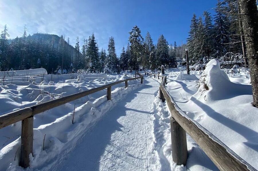 From Krakow: Zakopane Day Trip with Funicular & Food Tasting - What the $103 price includes