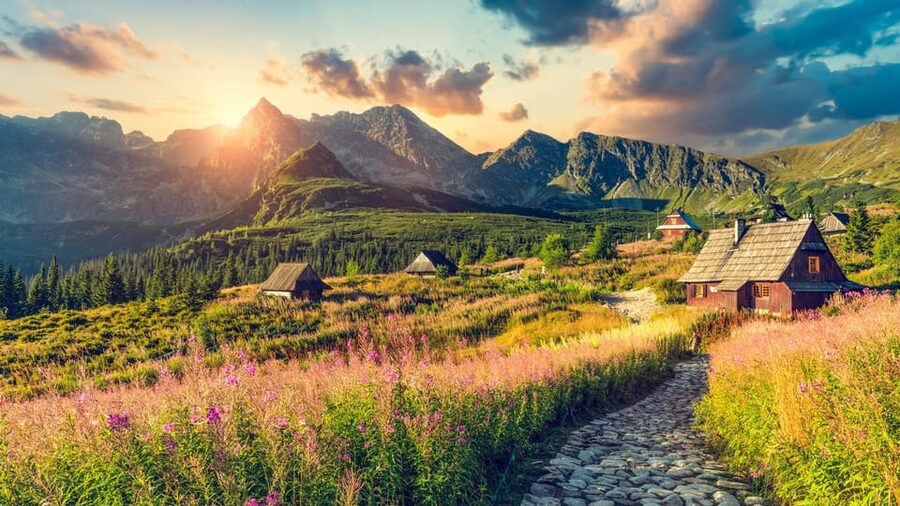 From Krakow: Zakopane Day Trip with Funicular & Food Tasting - Guide service and communication