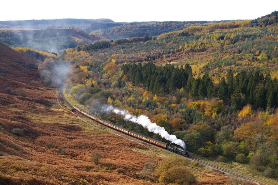 From London: The North York Moors with Steam Train to Whitby - Key points to know before booking